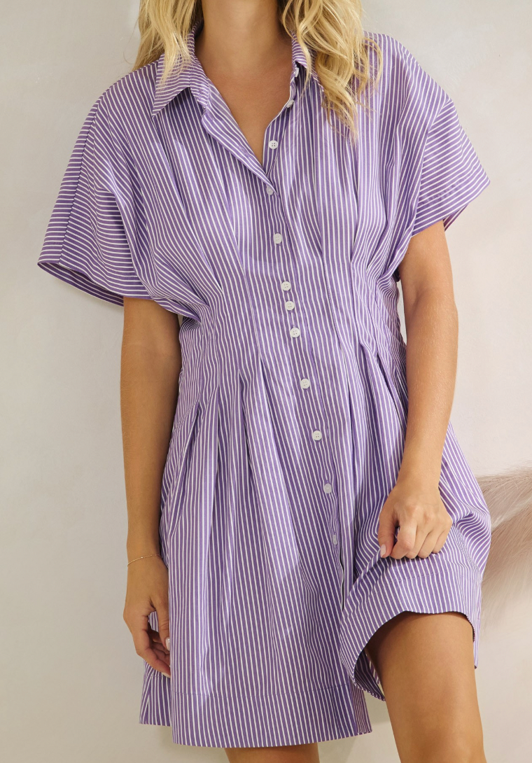 Purple Striped Button Down Dress