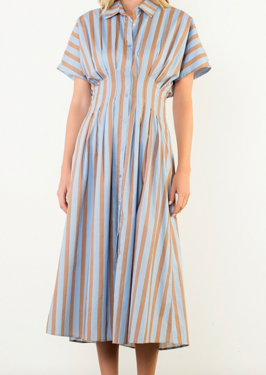 Brown and Blue Button Up Maxi Dress