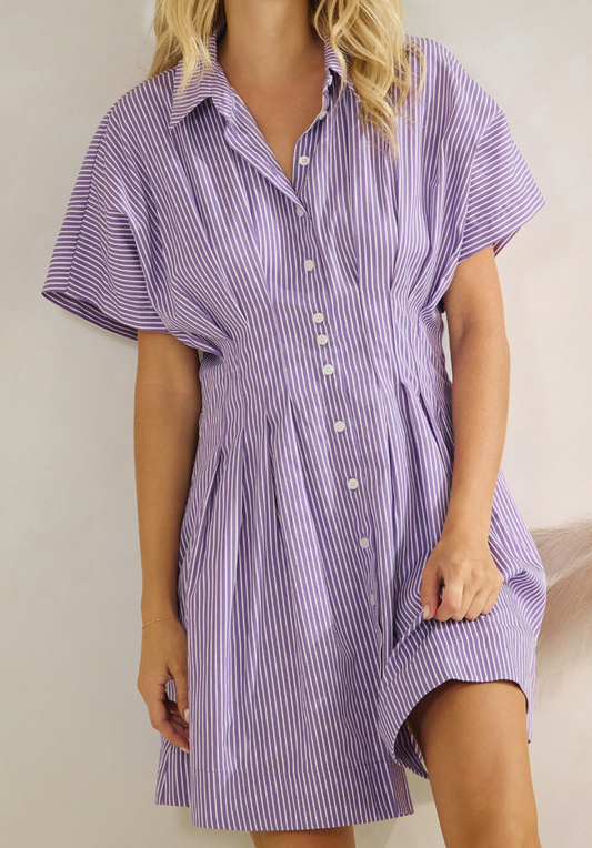 Purple Striped Button Down Dress