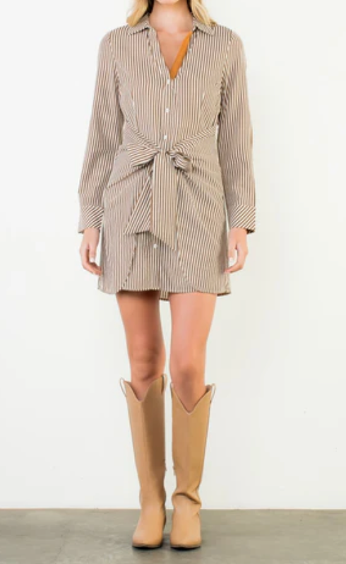 Long sleeve Brown Striped Dress
